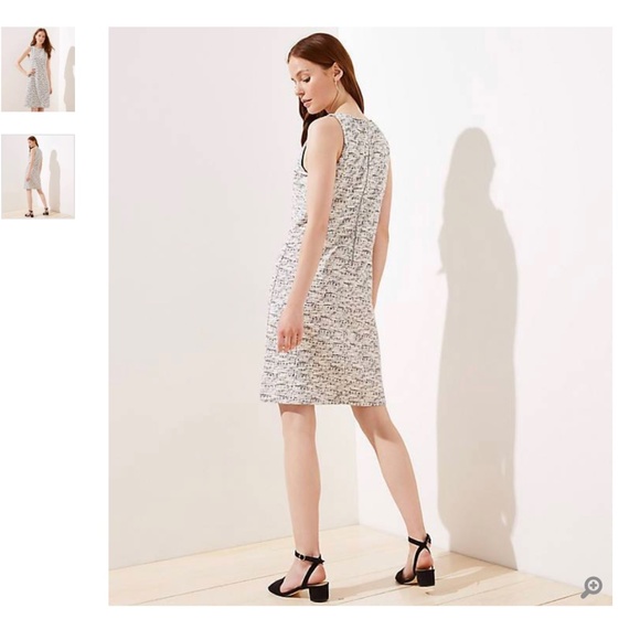 NWT ANN TAYLOR LOFT SHEATH DRESS IN TURNIP CREAM 0 - Picture 2 of 6